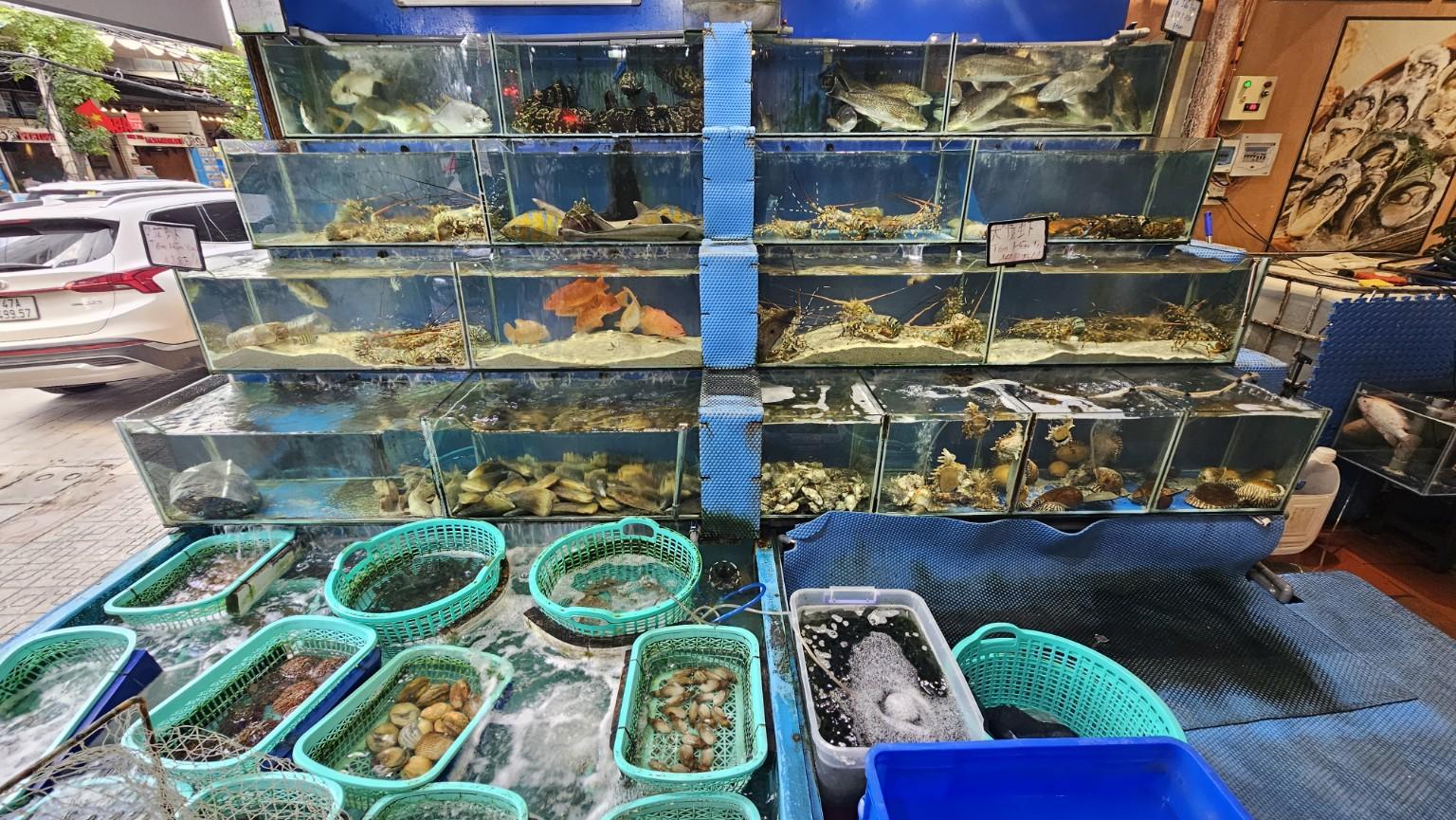 Khu bể hải sản trong nhà hàng